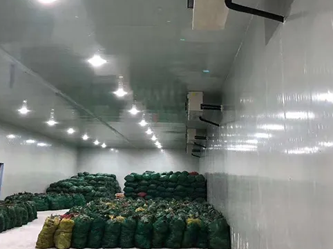 小米辣保鮮庫