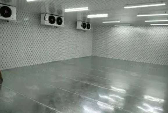 電商生鮮冷庫建設(shè)方案