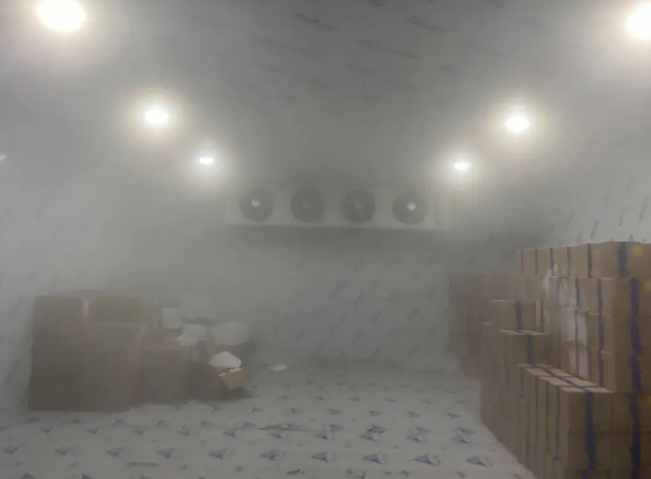 建600平海鮮低溫速凍冷庫(kù)多少錢