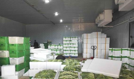 蘇州蔬菜氣調冷庫大概多少錢